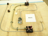 P1020403.JPG
