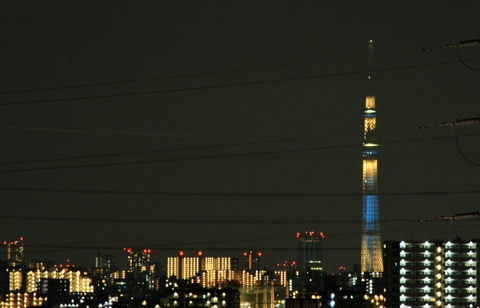 sukaituri-2.jpg